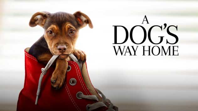A Dog's Way Home