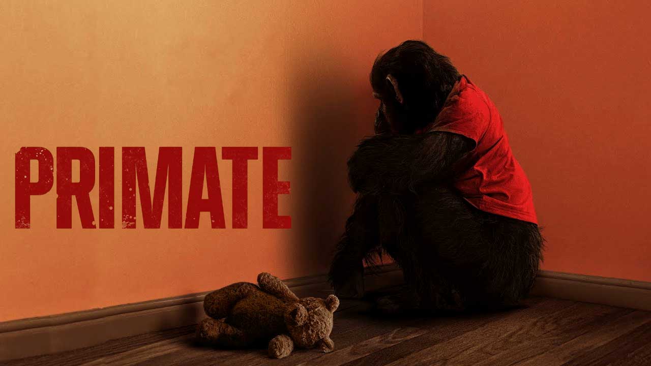 This Week's New Movie Releases - January 4, 2026